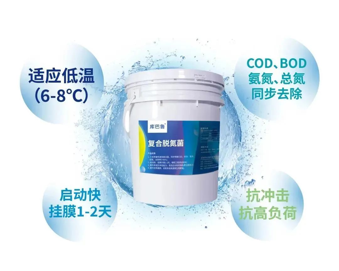 庫巴魯原位達標(biāo)激活菌